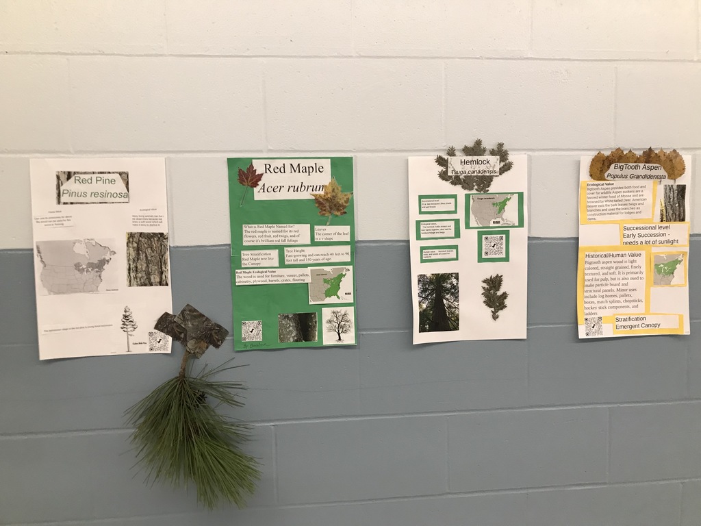 Tree posters displayed in the hallway